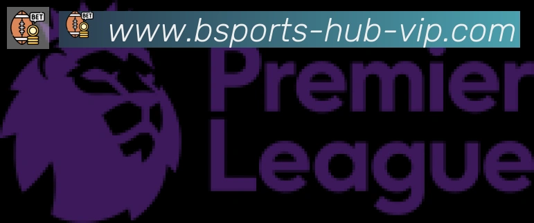 Bsports官网合作伙伴