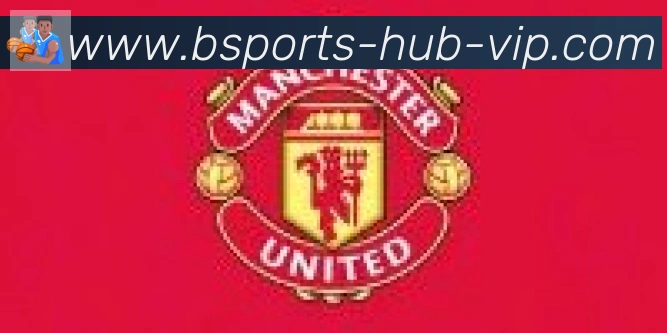 Bsports官网合作伙伴