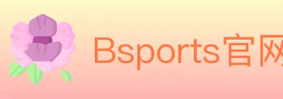 Bsports官网 Logo